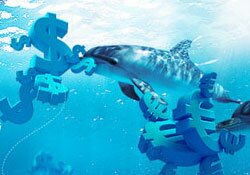 ������ ����� ��� ������� ForexOptimum