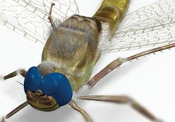 ����� ��������� ������� ��� �������� "TeleTRADE"