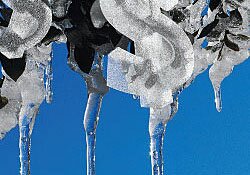 ��������� ������ �������� "TeleTRADE" � ������.