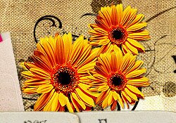 �������� ������� ��� ������ ������ "����� � �������"